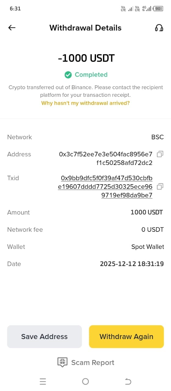 Flash USDT wallet transfer